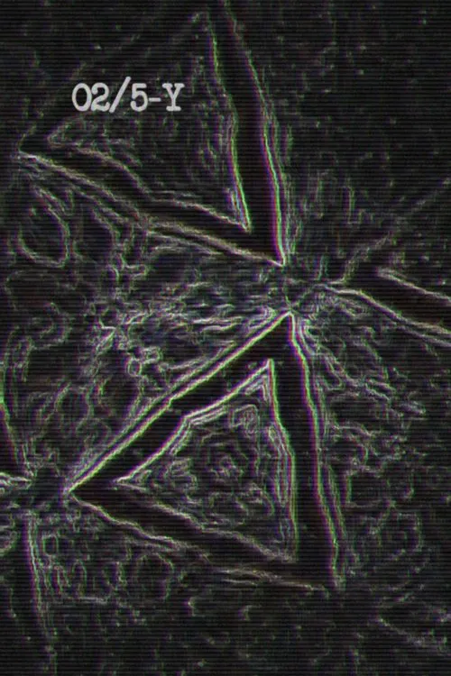 Poster do filme 02/5-Y