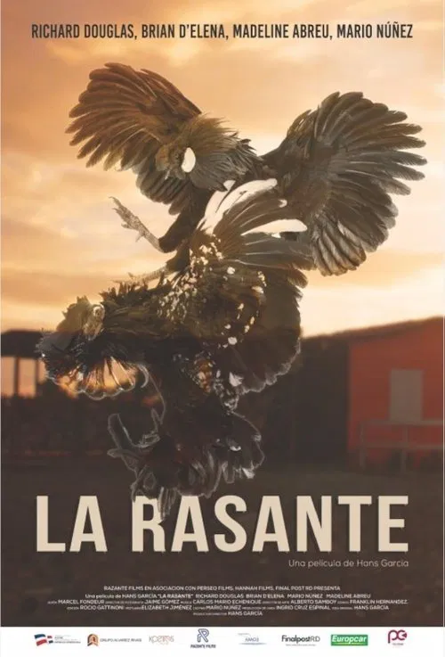 La Rasante movie poster