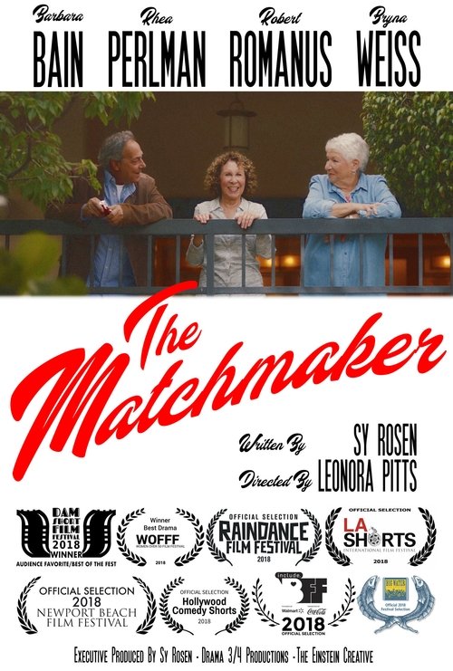 Poster do filme The Matchmaker