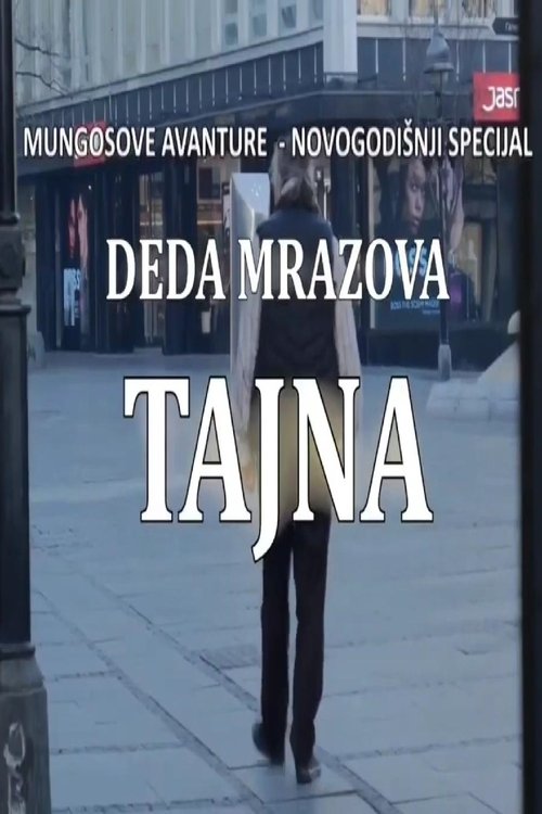 Poster do filme Santa's Secret