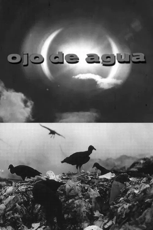 Ojo de Agua movie poster