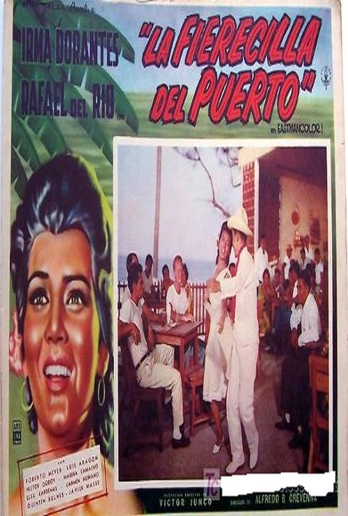 La fierecilla del puerto movie poster