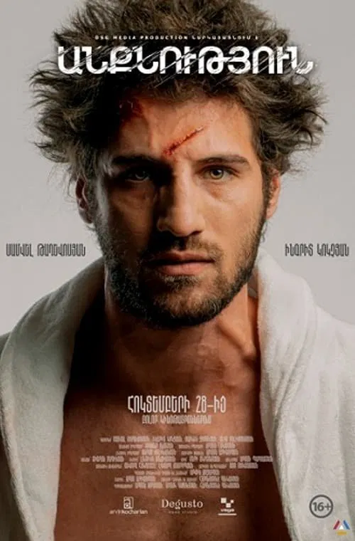 Insomnia movie poster