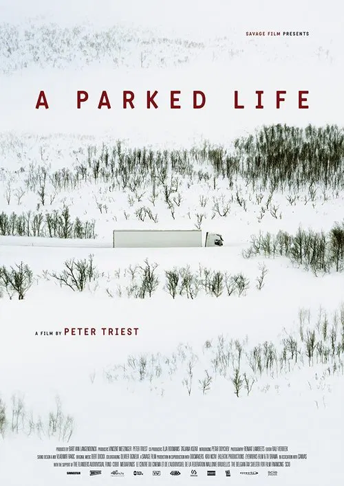 A Parked Life movie poster