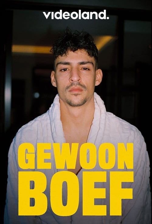 Gewoon Boef tv show poster