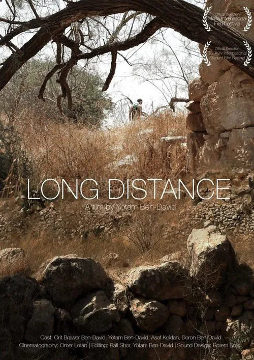 Long Distance movie poster