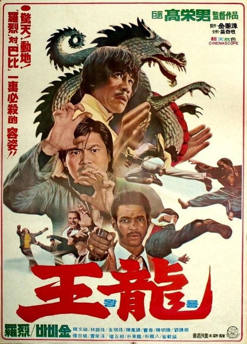 Poster do filme Deadly Kick