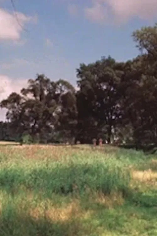 Practical Tips for Butterfly Collectors movie poster