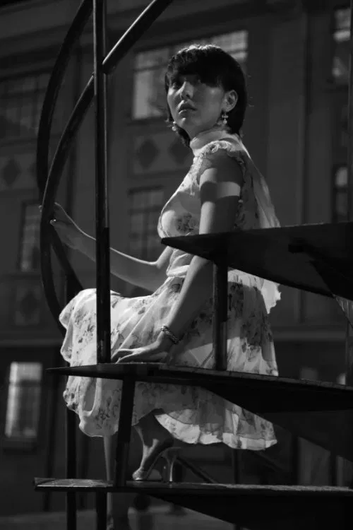 The Fifth Night movie poster