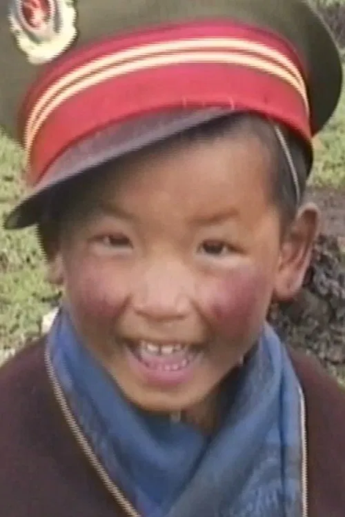 Migration movie poster