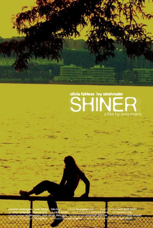 Poster do filme Shiner