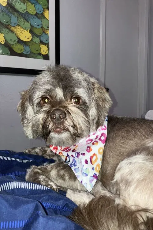 Cooper profile picture