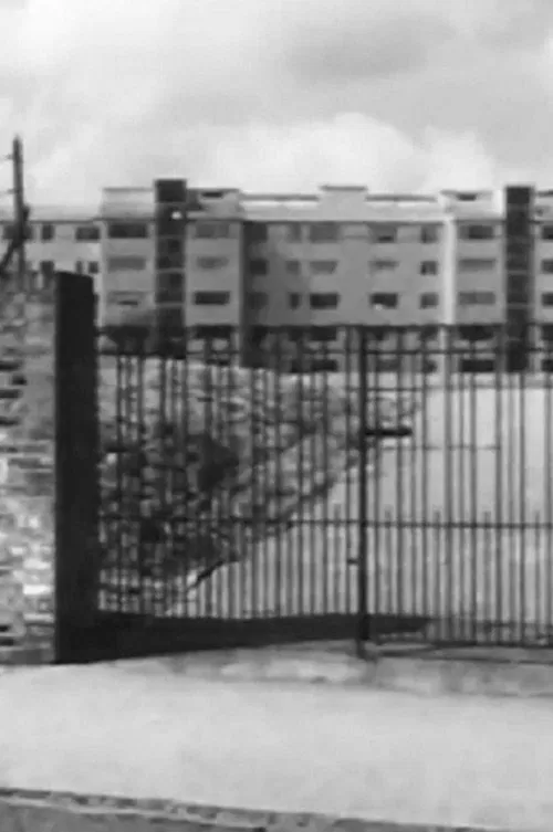 Poster do filme Norwood