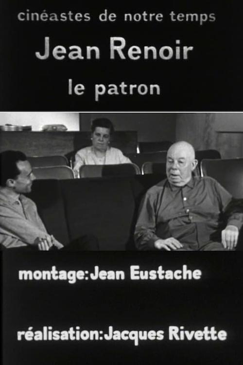 Jean Renoir, le patron, 3e partie: La règle et l'exception movie poster
