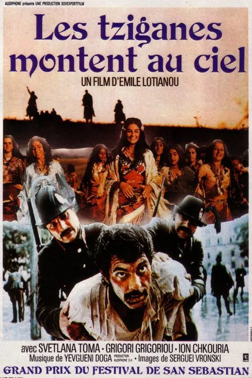 Şatra movie poster