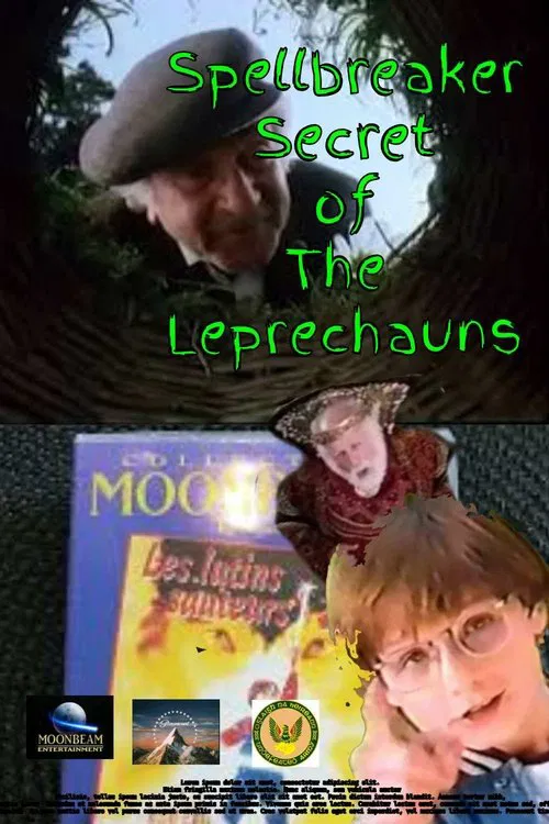 Spellbreaker: Secret of the Leprechauns movie poster