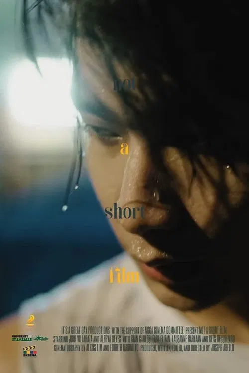 Not a Short Film movie poster