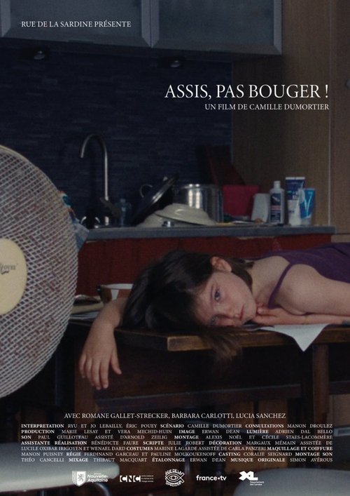 Assis, pas bouger movie poster