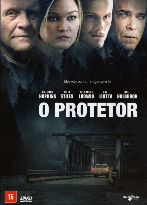 Poster do filme O Protetor