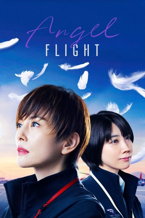 Angel Flight tv show poster