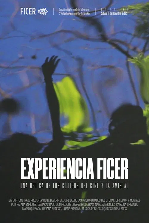 Experiencia FICER movie poster