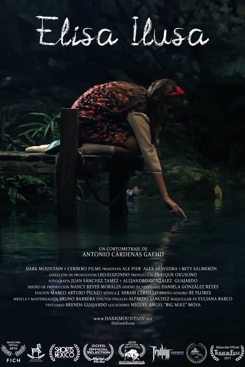 Elisa Ilusa movie poster