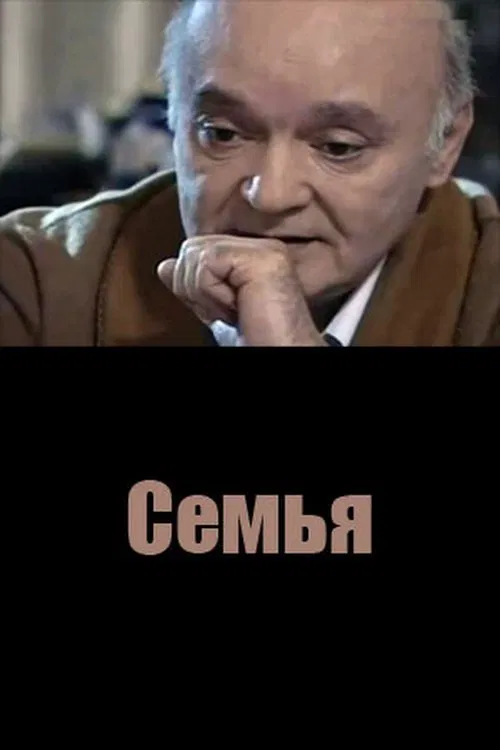 The Family movie poster