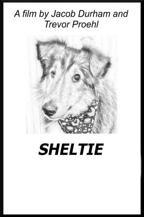 Sheltie movie poster