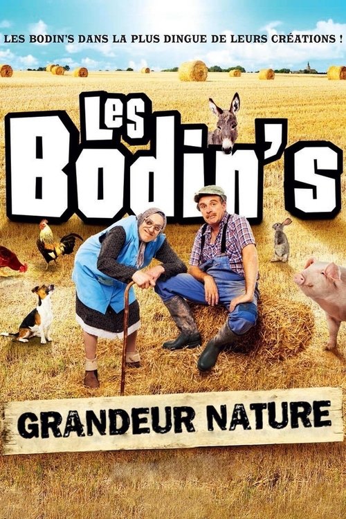 Les Bodin's : Grandeur Nature (@Zenith de Limoges) movie poster
