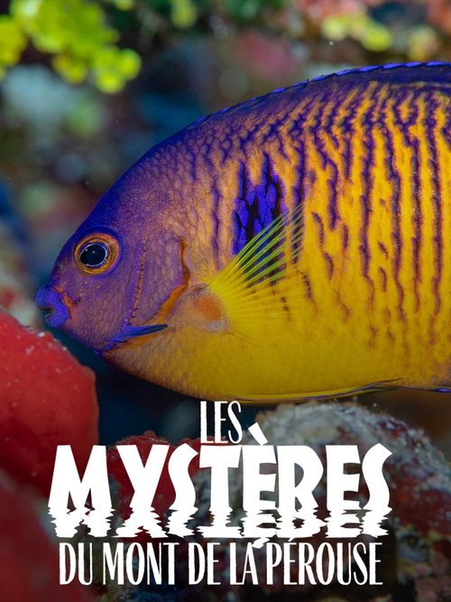 The mysteries of Mont La Pérouse movie poster