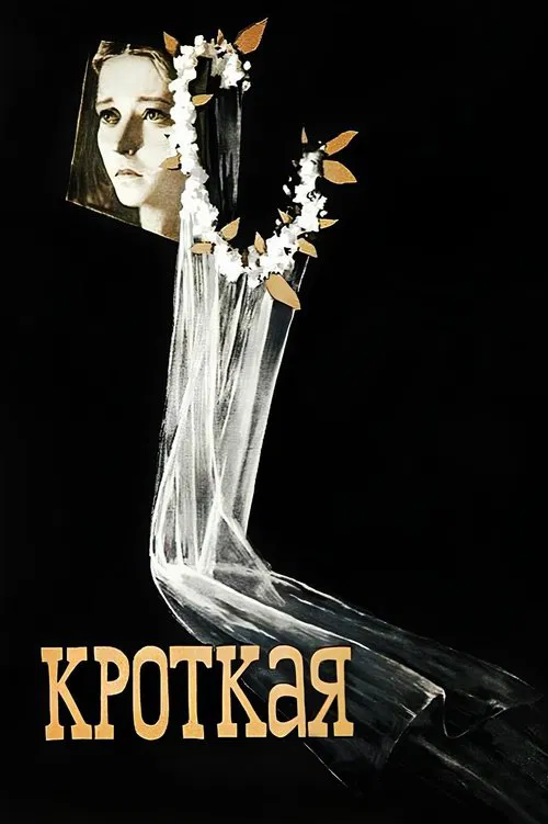 The Meek One movie poster