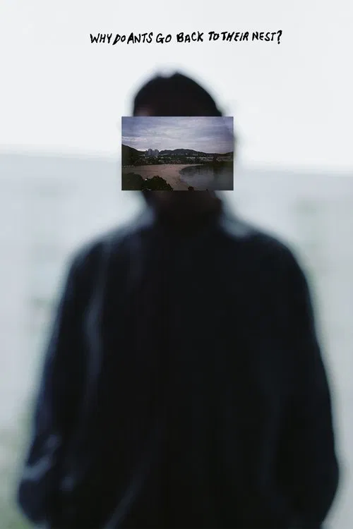 Why Do Ants Go Back To Their Nest? movie poster