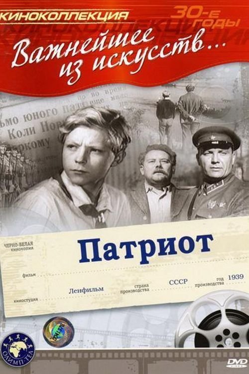 Poster do filme Patriot