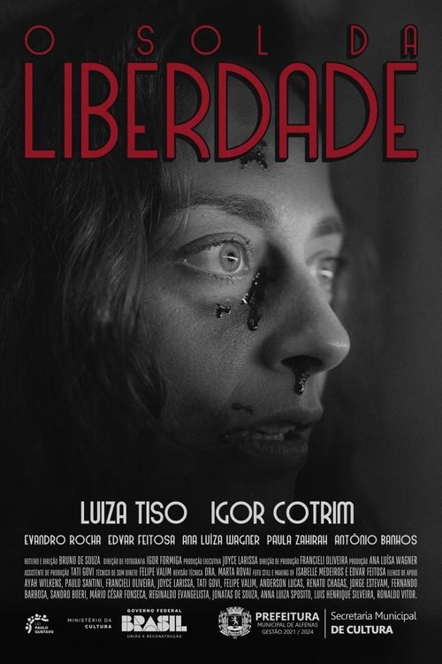 Poster do filme O Sol da Liberdade