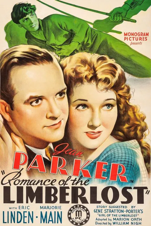 Romance of the Limberlost movie poster