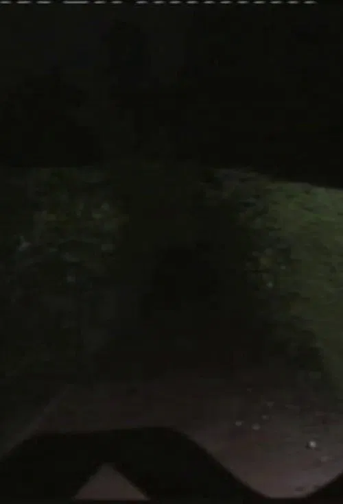 Vórtice Magnético ou Mecanismo de Dobra Fantasmática movie poster