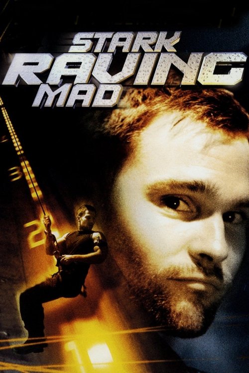 Stark Raving Mad movie poster