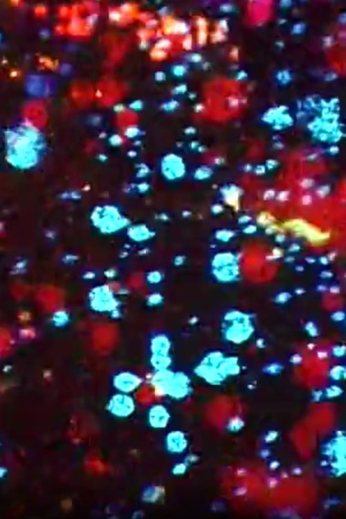 Particle Acceleration movie poster