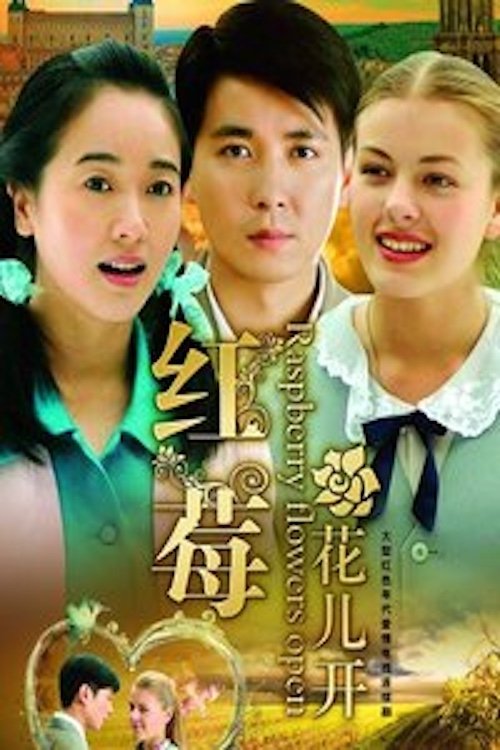 The Wind Across Our World movie poster