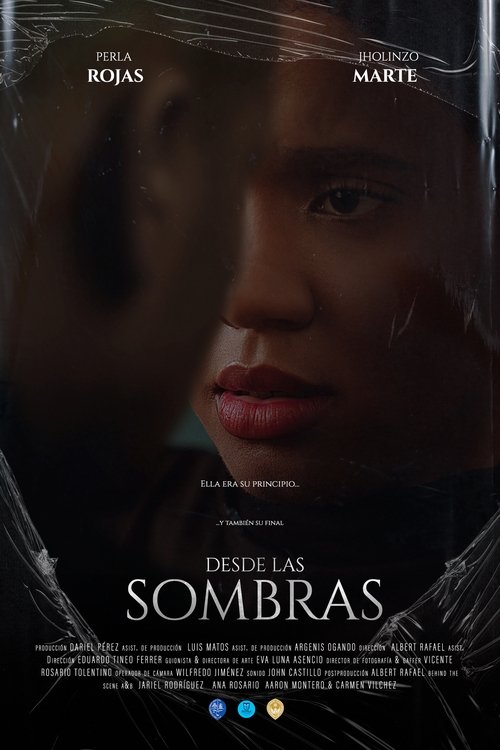 Desde las sombras movie poster