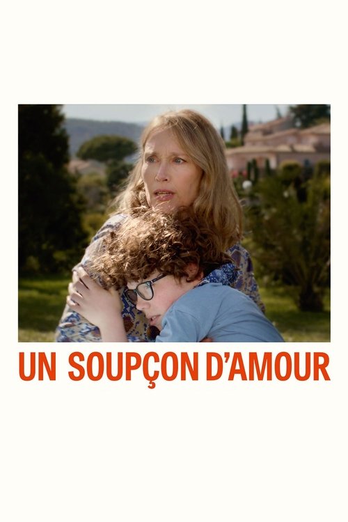 Un soupçon d'amour movie poster