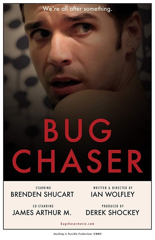 Bug Chaser movie poster