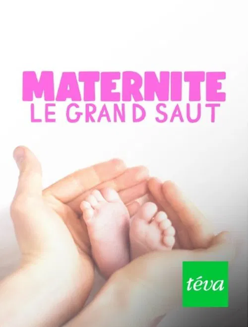 Maternité : le grand saut movie poster