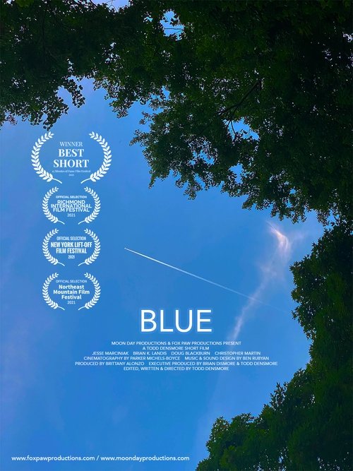 Blue movie poster
