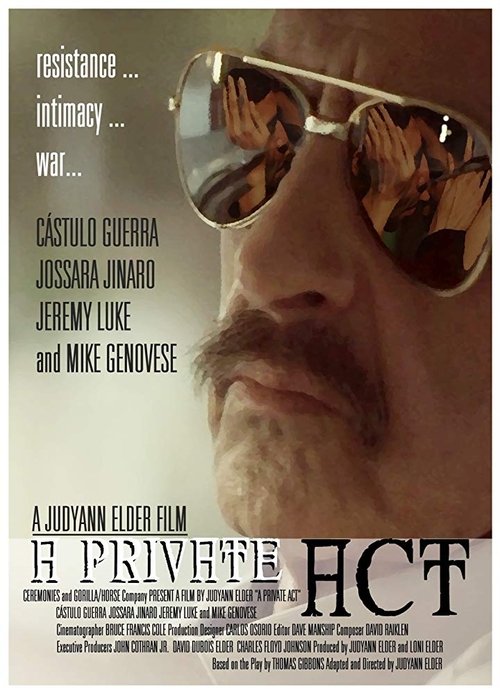 A Private Act movie poster