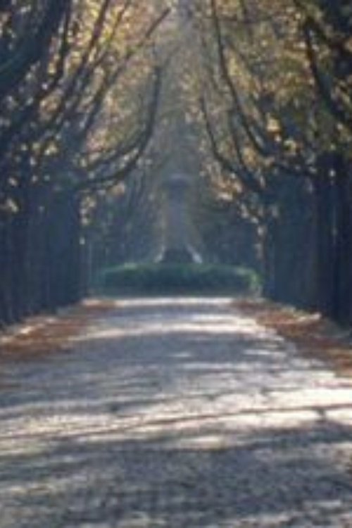 Nous sommes revenus dans l'allée des marronniers movie poster