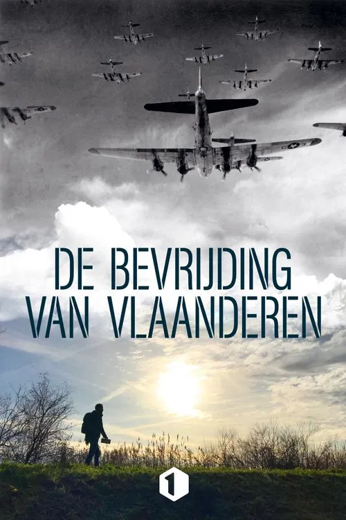 De bevrijding van Vlaanderen tv show poster