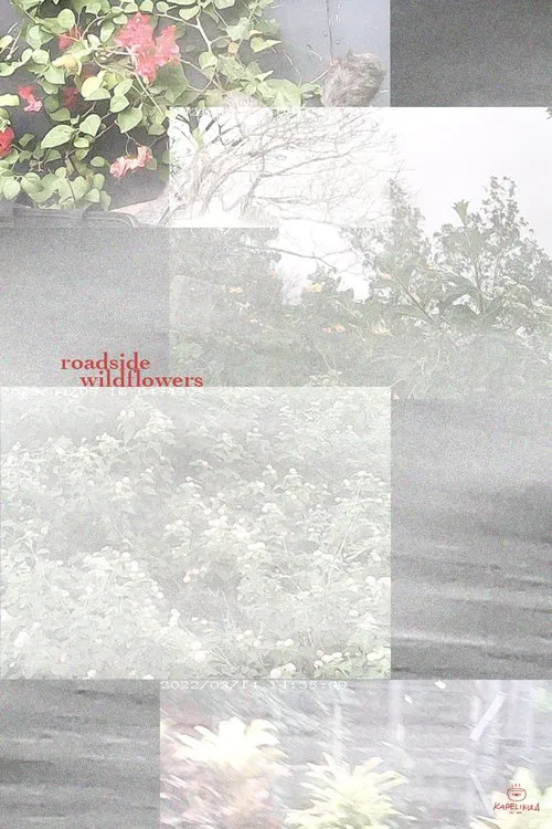 an ode to chris helzer's field guide to roadside wildflowers at full speed movie poster