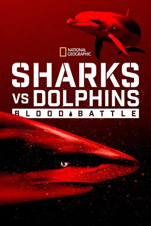 Sharks vs. Dolphins: Blood Battle movie poster