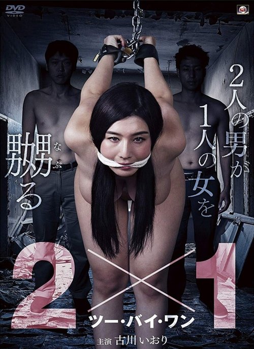 2x1 movie poster
